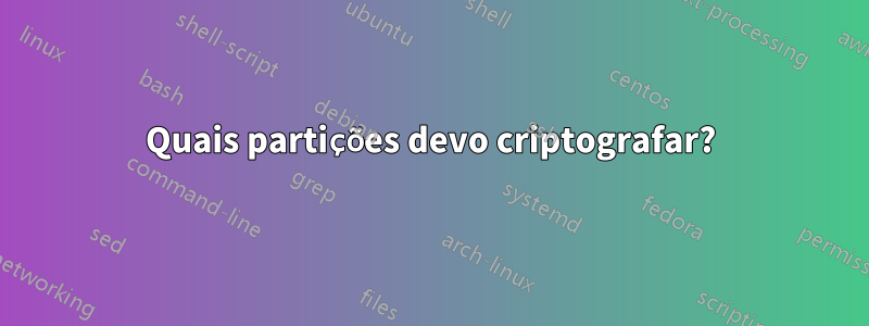 Quais partições devo criptografar?