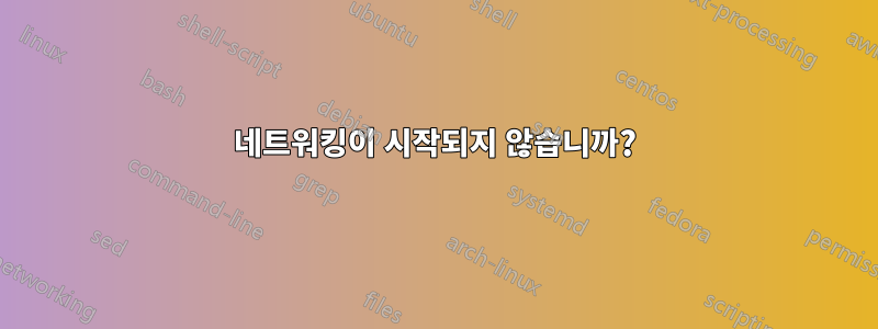 네트워킹이 시작되지 않습니까?