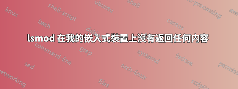 lsmod 在我的嵌入式裝置上沒有返回任何內容