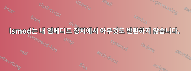 lsmod는 내 임베디드 장치에서 아무것도 반환하지 않습니다.