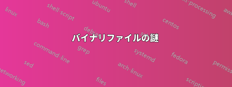 バイナリファイルの謎