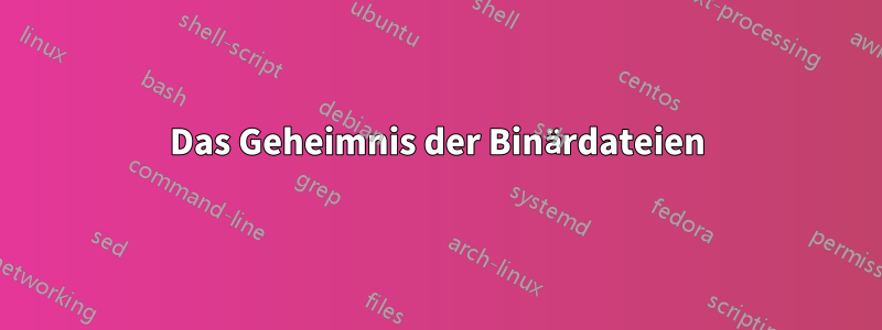 Das Geheimnis der Binärdateien