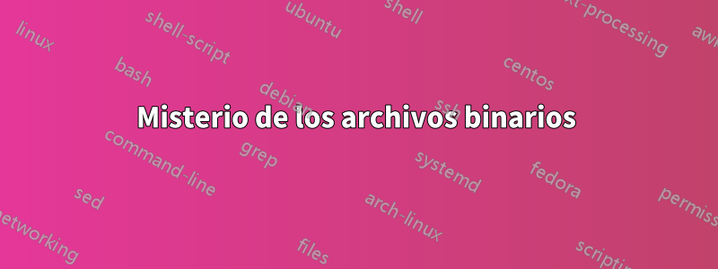 Misterio de los archivos binarios