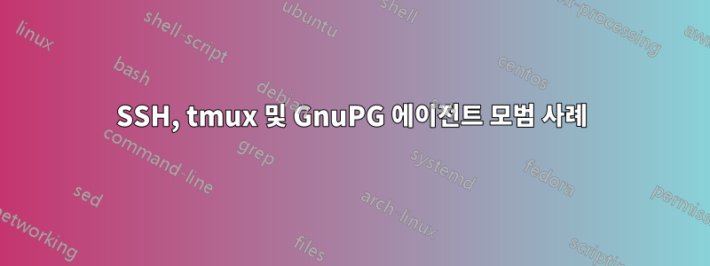 SSH, tmux 및 GnuPG 에이전트 모범 사례