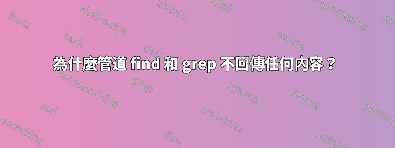 為什麼管道 find 和 grep 不回傳任何內容？