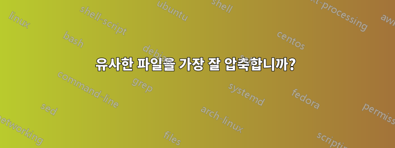 유사한 파일을 가장 잘 압축합니까?