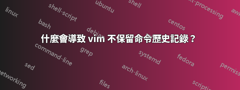 什麼會導致 vim 不保留命令歷史記錄？