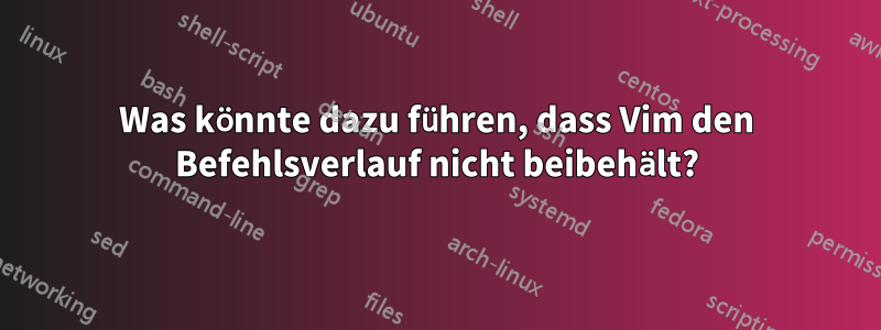 Was könnte dazu führen, dass Vim den Befehlsverlauf nicht beibehält?