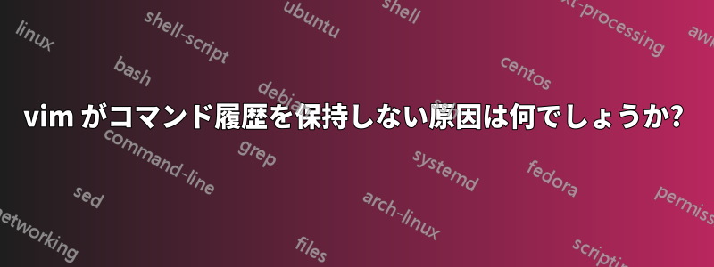 vim がコマンド履歴を保持しない原因は何でしょうか?