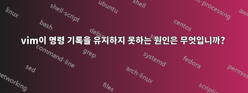 vim이 명령 기록을 유지하지 못하는 원인은 무엇입니까?