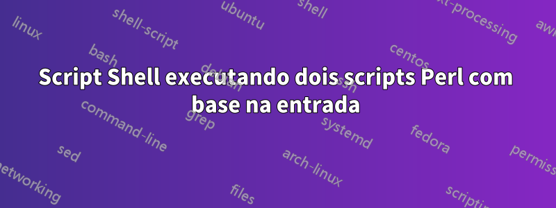 Script Shell executando dois scripts Perl com base na entrada