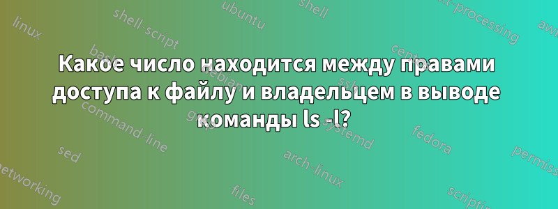 Какое число находится между правами доступа к файлу и владельцем в выводе команды ls -l? 