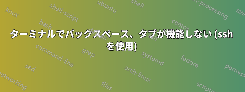 ターミナルでバックスペース、タブが機能しない (ssh を使用)