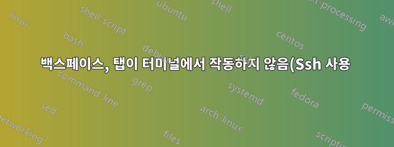 백스페이스, 탭이 터미널에서 작동하지 않음(Ssh 사용)