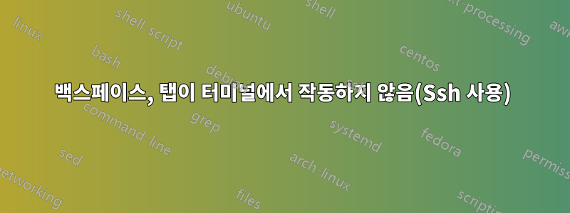 백스페이스, 탭이 터미널에서 작동하지 않음(Ssh 사용)