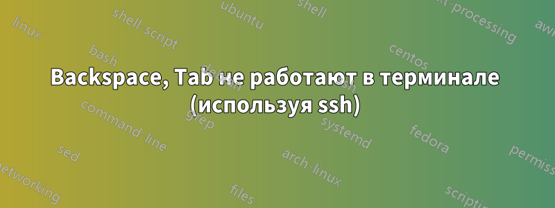 Backspace, Tab не работают в терминале (используя ssh)