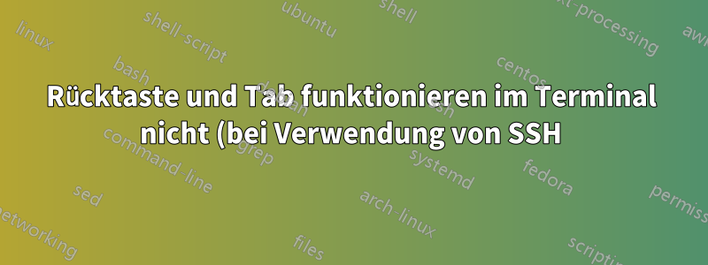 Rücktaste und Tab funktionieren im Terminal nicht (bei Verwendung von SSH)