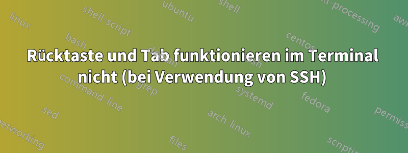 Rücktaste und Tab funktionieren im Terminal nicht (bei Verwendung von SSH)