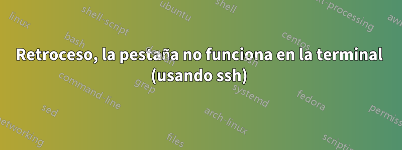 Retroceso, la pestaña no funciona en la terminal (usando ssh)