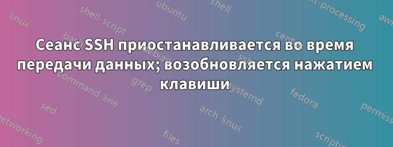 Сеанс SSH приостанавливается во время передачи данных; возобновляется нажатием клавиши