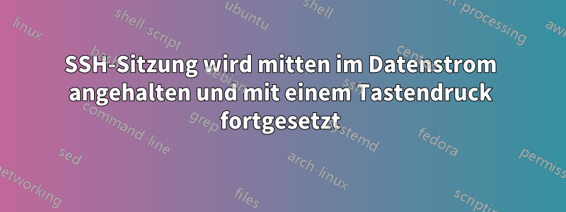 SSH-Sitzung wird mitten im Datenstrom angehalten und mit einem Tastendruck fortgesetzt