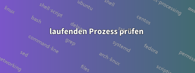 laufenden Prozess prüfen