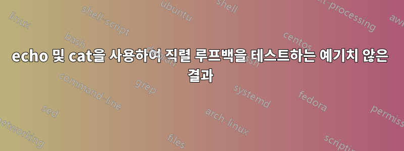 echo 및 cat을 사용하여 직렬 루프백을 테스트하는 예기치 않은 결과