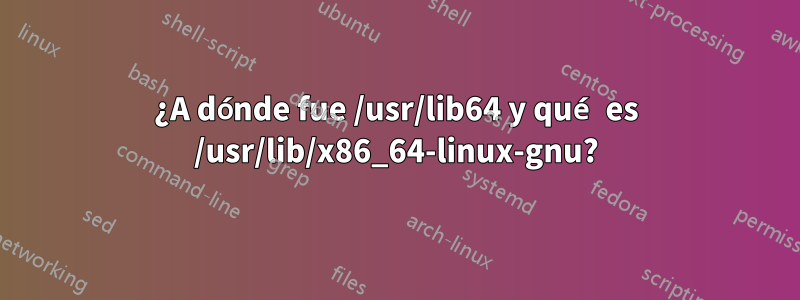 ¿A dónde fue /usr/lib64 y qué es /usr/lib/x86_64-linux-gnu?