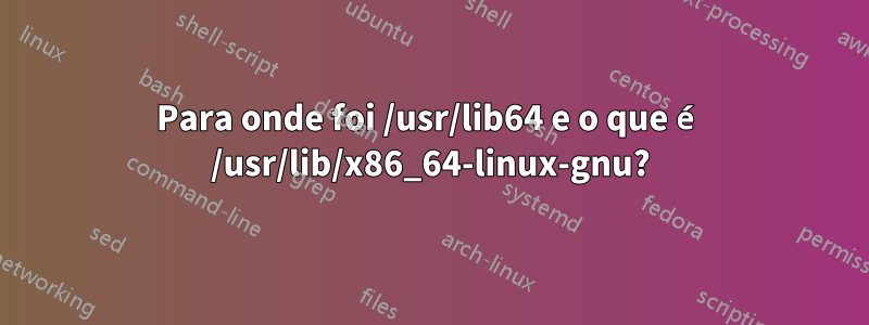 Para onde foi /usr/lib64 e o que é /usr/lib/x86_64-linux-gnu?