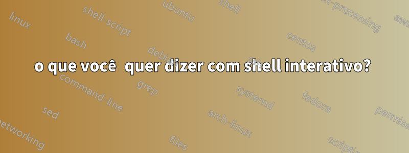 o que você quer dizer com shell interativo?