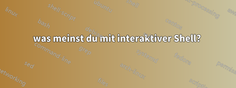 was meinst du mit interaktiver Shell?