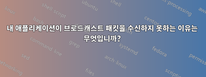 내 애플리케이션이 브로드캐스트 패킷을 수신하지 못하는 이유는 무엇입니까?