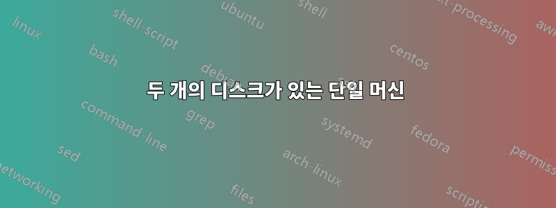 두 개의 디스크가 있는 단일 머신