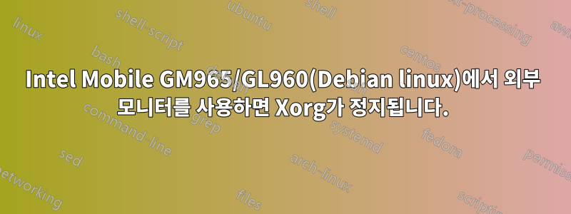 Intel Mobile GM965/GL960(Debian linux)에서 외부 모니터를 사용하면 Xorg가 정지됩니다.
