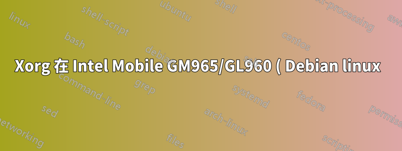 Xorg 在 Intel Mobile GM965/GL960 ( Debian linux ) 上使用外部顯示器凍結