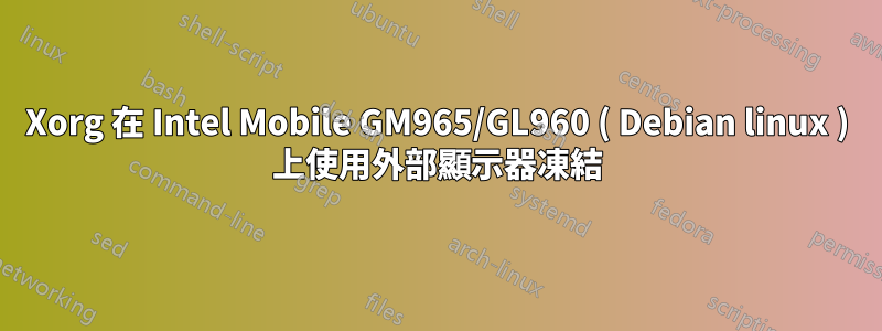 Xorg 在 Intel Mobile GM965/GL960 ( Debian linux ) 上使用外部顯示器凍結