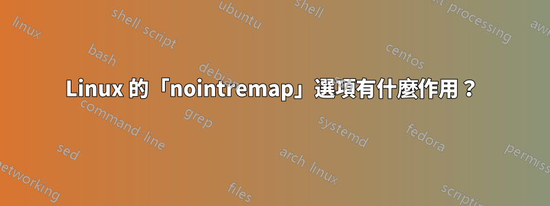 Linux 的「nointremap」選項有什麼作用？