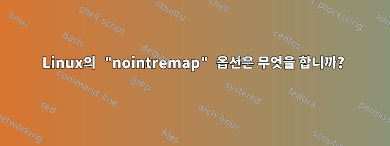 Linux의 "nointremap" 옵션은 무엇을 합니까?