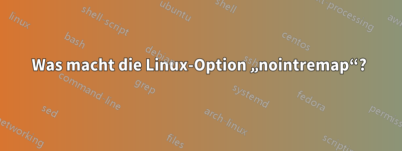 Was macht die Linux-Option „nointremap“?