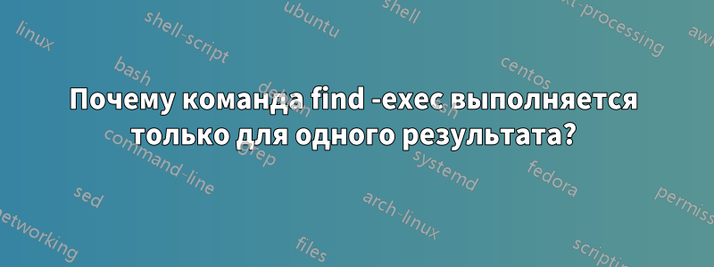 Почему команда find -exec выполняется только для одного результата?