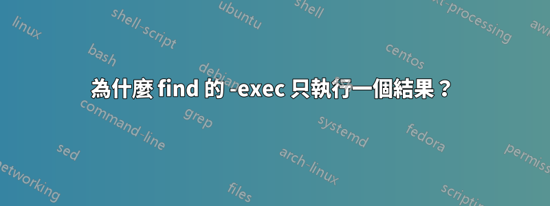 為什麼 find 的 -exec 只執行一個結果？