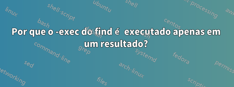 Por que o -exec do find é executado apenas em um resultado?