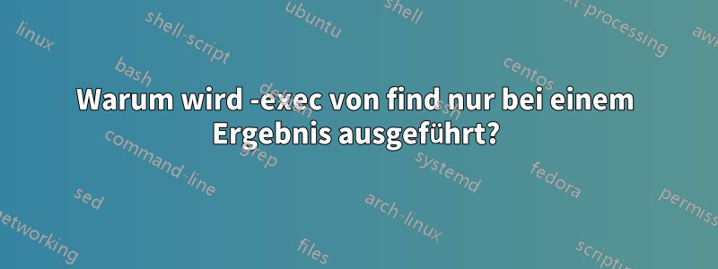 Warum wird -exec von find nur bei einem Ergebnis ausgeführt?