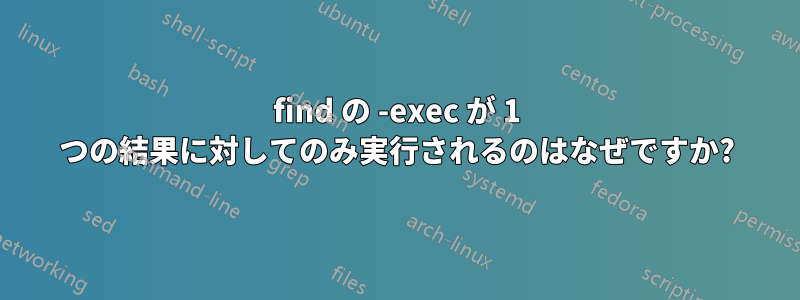 find の -exec が 1 つの結果に対してのみ実行されるのはなぜですか?