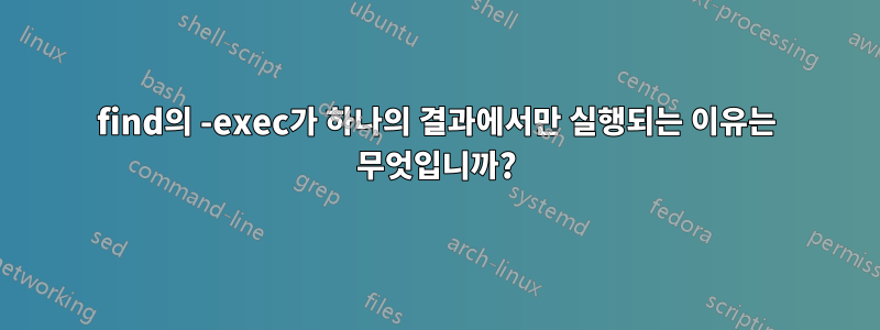 find의 -exec가 하나의 결과에서만 실행되는 이유는 무엇입니까?