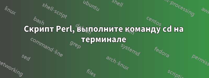 Скрипт Perl, выполните команду cd на терминале