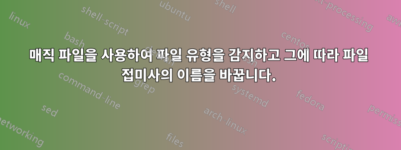 매직 파일을 사용하여 파일 유형을 감지하고 그에 따라 파일 접미사의 이름을 바꿉니다.
