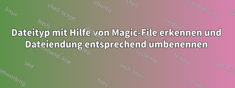 Dateityp mit Hilfe von Magic-File erkennen und Dateiendung entsprechend umbenennen