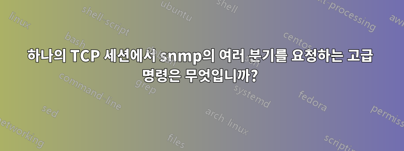 하나의 TCP 세션에서 snmp의 여러 분기를 요청하는 고급 명령은 무엇입니까?