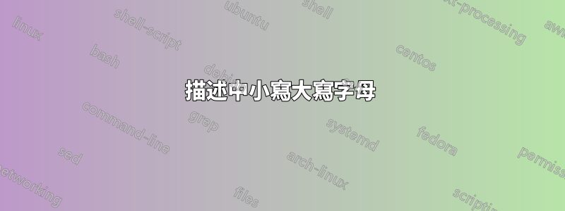 描述中小寫大寫字母